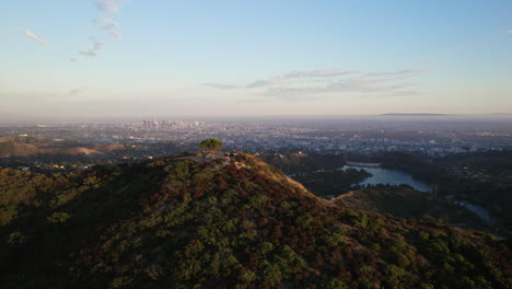 Eine-Filmische-Drohnenaufnahme-Des-Weisheitsbaums-Mit-Los-Angeles-Im-Hintergrund-Zur-Goldenen-Stunde