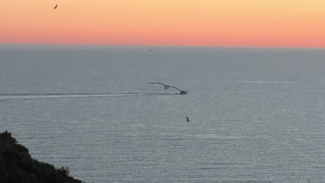 Calpe,-Spanien,-Fischerboot,-Das-An-Einem-Lauen-Frühlingsabend-Zum-Hafen-Zurückkehrt