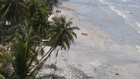Aerial-Revealing-shot-of-palm-trees-at-beach-and-volunteer-cleaning-beach-full-of-plastic-and-waste