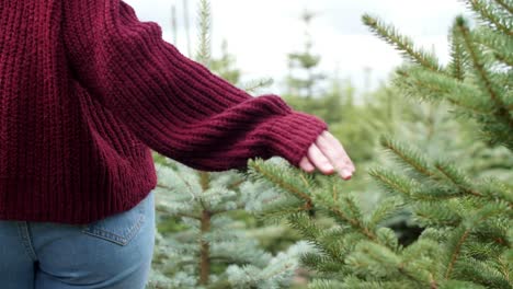 Woman-choosing-christmas-tree