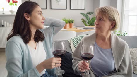 Video-Von-Frauen-Aus-Zwei-Generationen,-Die-Zeit-Damit-Verbringen,-Wein-Zu-Trinken
