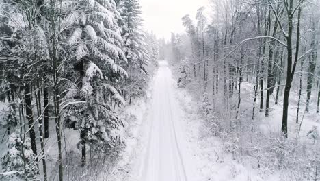 Drone-view-of-winter-forest-with-a-footpath