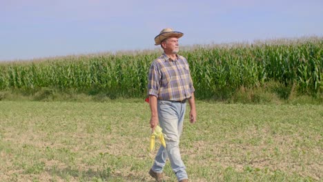 Senior-farmer-with-corn-cobs-walking-across-the-field