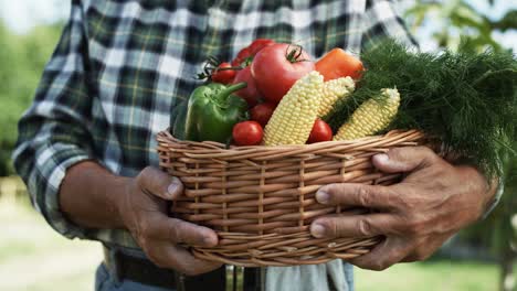 Close-up-video-of-basket-full-of-freshness-vegetables
