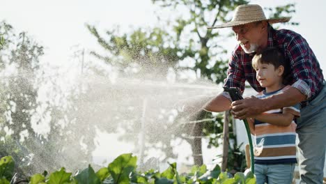 Handheld-video-of-grandson-watering-vegetables-with-grandfather