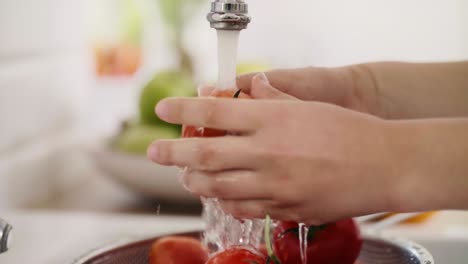 Handheld-view-of-human-hands-washing-fresh-tomatoes/Rzeszow/Poland