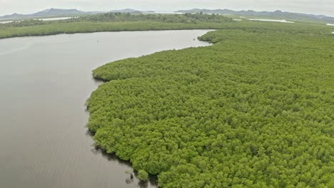 Vista-Aérea-De-Vías-Navegables-Costeras-Llenas-De-Manglares.