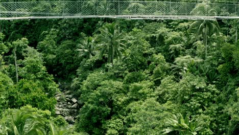 Lumondo-Hanging-Bridge-Tilt-Up-Drone-Shot-to-Reveal-the-Bridge-and-Jungle-Background-in-Alegria,-Surigao-Del-Norte,-Philippines