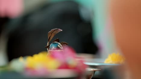 Close-up-of-hand-offering-rice-during-Indian-wedding-puja