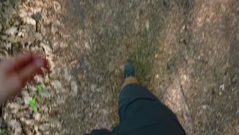 Point-of-view-perspective-of-a-man-walking-on-a-forest-path,-slow-motion