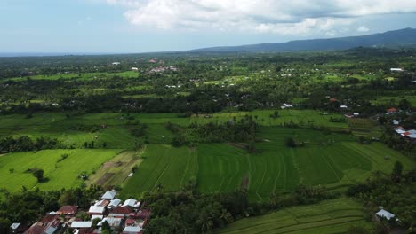 Aerial-View-with-Slow-Tilt-Up-Showcasing-the-Majestic-Paddy-Fields-Landscape-in-Bali,-Indonesia