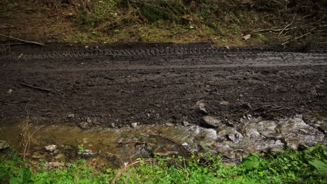 Stream-flows-below-muddy-dirt-road-carved-into-landscape-from-heavy-machinery