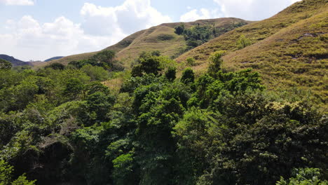 Vegetación-En-La-Ladera-De-La-Isla-De-Sumba,-Nusa-Tenggara-Oriental,-Indonesia
