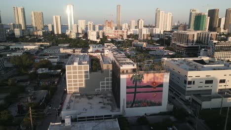 Luftaufnahme-Des-Wynwood-Viertels-Mit-Straßenkunst-Auf-Dem-Skyline-Wolkenkratzer-Eines-Modernen-Gebäudes