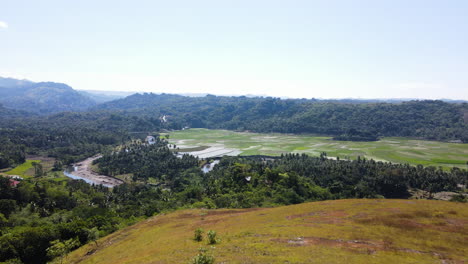 Colinas-Revelaron-Arrozales-Rodeados-De-Densos-Bosques-En-La-Isla-De-Sumba,-Indonesia