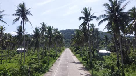 Aerial-dolly-in-over-palm-tree-Road-on-Siargao-Island,-Philippines