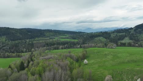Experience-the-allure-of-spring-as-the-drone-glides-low-over-blooming-fruit-trees-and-meadows,-unveiling-an-abandoned-barn-and-a-straight-unpaved-road-with-backdrop-of-dramatic-clouds