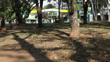 City-trees-cannot-hide-the-fuel-prices-on-display-in-Brasilia,-Brazil