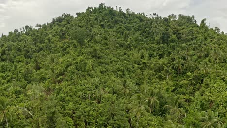 Aerial-view-over-a-hill-full-of-a-dense-jungle