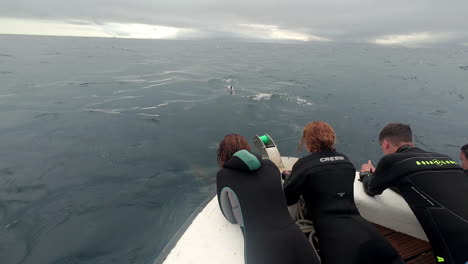 Grupo-Turístico-Observando-Delfines-Montando-En-Proa