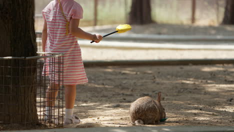 Toddler-Girl-Playing-with-Rabbit,-Cute-3-year-old-Kid-Strokes-Bunny-Fur-While-Feeding-Animal
