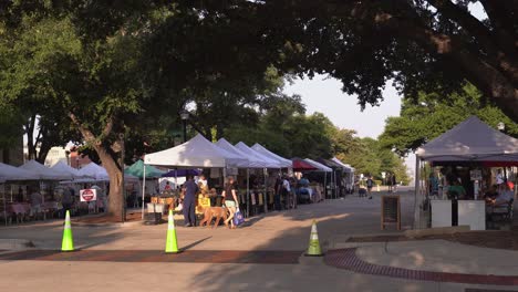 Vista-Estática-Del-Mercado-De-Agricultores-Temprano-En-La-Mañana-A-La-Sombra-De-Los-árboles-De-La-Plaza-De-La-Ciudad.