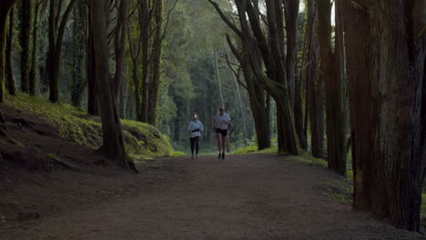 Fit-man-and-woman-in-sportswear-running-in-forest-at-dusk
