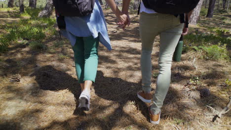 Couple-holding-hand-and-walking-in-forest