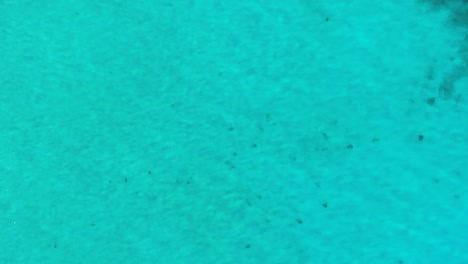 Drone-descends-to-sandy-clear-caribbean-ocean-water,-sunlight-ripples-dance