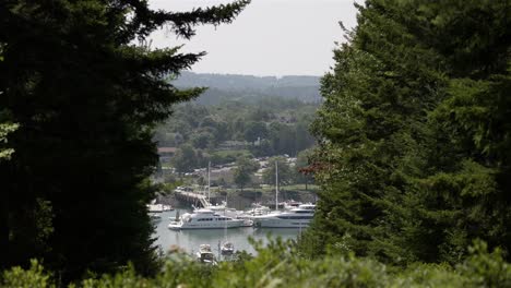 Marina-with-boats-docked-between-trees-on-overcast-day,-calm-gentle-breeze
