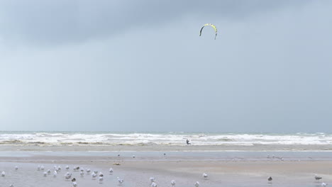 Kitesurfers-at-Wild-Sea,-Extreme-Water-Sports,-Tracking-Shot