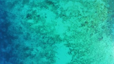 Crystal-clear-blue-ocean-water,-light-cloud-shadow-moves-across-sandy-reef-bottom,-drone-static