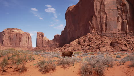 Horse-grazing-in-majestic-desert-setting-with-tall-rock-cliffs-in-the-background