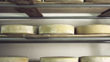 tilt-up,-tilt-down-shot-of-cheeses-in-winery