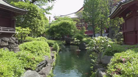 Hermosa-Mañana-En-El-Jardín-Natural-De-Asakusa-Japón