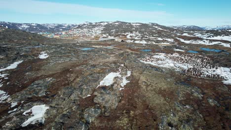 Remote-cemetery-with-white-crosses-in-Greenland,-aerial-view
