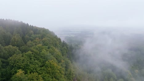 Steiler-Hügel,-Bedeckt-Mit-Grünen-Bäumen-Im-Nebel