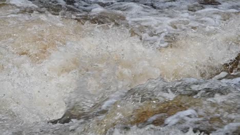 Atlantic-Salmon-fighting-it's-way-up-the-waterfall-trying-to-get-to-spawning-grounds-in-Scotland--Tripod-shot-slow-motion