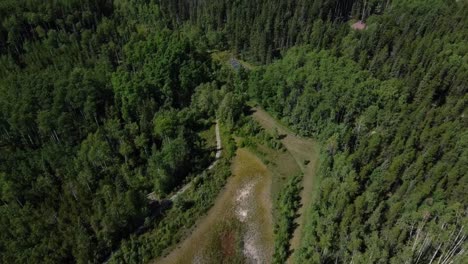 Aerial-shot-of-the-Canadian-forest-in-summertime