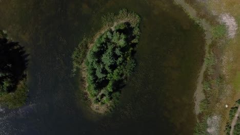 Top-down-drone-shot-of-the-small-island-in-remote-forest-lake-in-summer