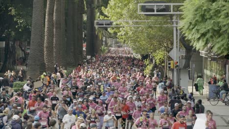 Statische-Aufnahme-Des-Marathons-Zum-40-jährigen-Jubiläum-Von-Mexiko-Stadt