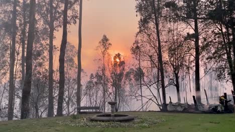 A-red-sun-and-an-orange-sky-is-seen-behind-tall-trees-and-smoke-that-came-from-a-wildfire-that-consumed-the-area,-including-a-home