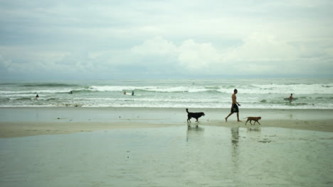 Totale-Aufnahme-Eines-Mannes,-Der-Mit-Seinen-Haustieren-Am-Strand-Spaziert