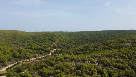 Forest-in-Greece-close-to-Kalogria-and-Nikiti-in-Halkidiki