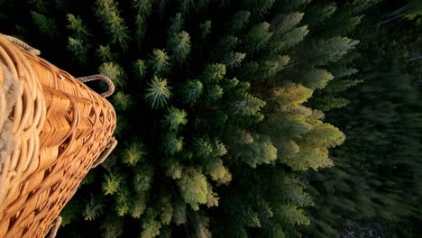 Green-forrest-up-from-hot-air-balloon
