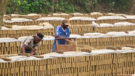 workers-load-raw-bricks-onto-a-cart-at-a-brick-field-in-Bangladesh