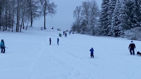 Familien-Und-Leute,-Die-Spaß-Auf-Der-Skipiste-Haben