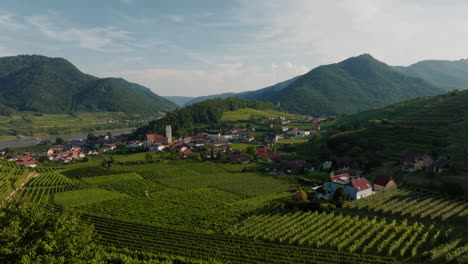 Aerial-push-in-above-tourist-overlook-reveals-stunning-vineyards-of-Spitz-Austria-in-lush-Wachau-Valley