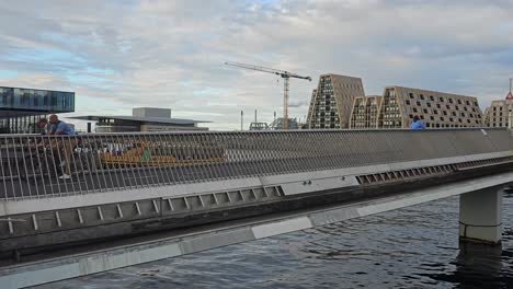 Fahrrad--Und-Fußgängerbrücke-über-Einen-Kanal