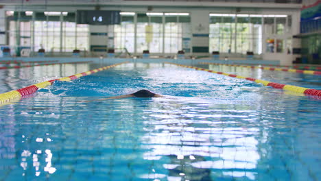 Nadadora-Entrenando-Técnica-De-Braza-Para-Competición,-Vista-Frontal